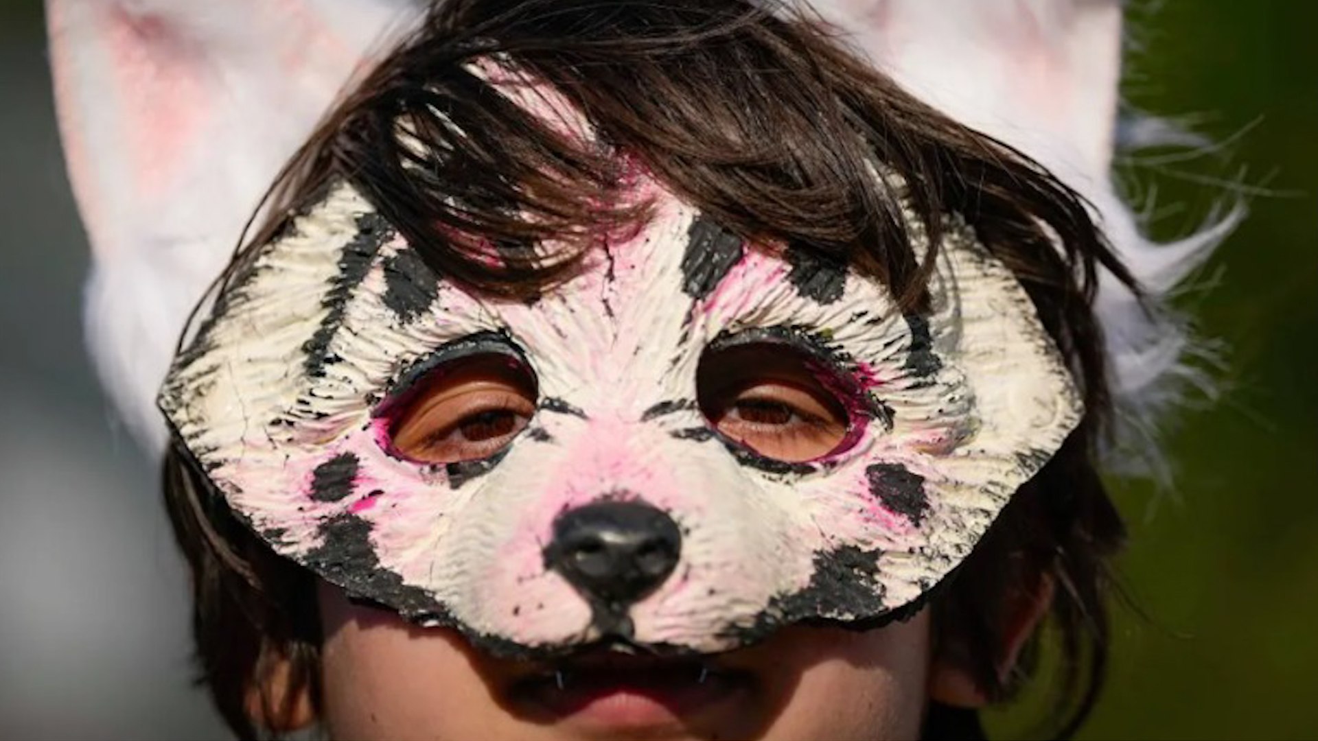 Cinco personas han sido detenidas este s�bado por la noche por des�rdenes p�blicos en Barcelona tras un encuentro de 'therians' que ha finalizado con enfrentamientos, por lo que la Guardia Urbana y los Mossos d'Esquadra han debido intervenir para desalojar la zona, han explicado a EFE fuentes policiales y municipales.
Varios centenares de j�venes, entre seguidores de este fen�meno y curiosos, han acudido a una cita que ha llegado a reunir a unas 3.000 personas y que, en un principio, se desarrollaba de forma pac�fica. Despu�s de la concentraci�n, un grupo de personas ha provocado incidentes que han finalizado con enfrentamientos, vandalismo y da�os al mobiliario urbano.