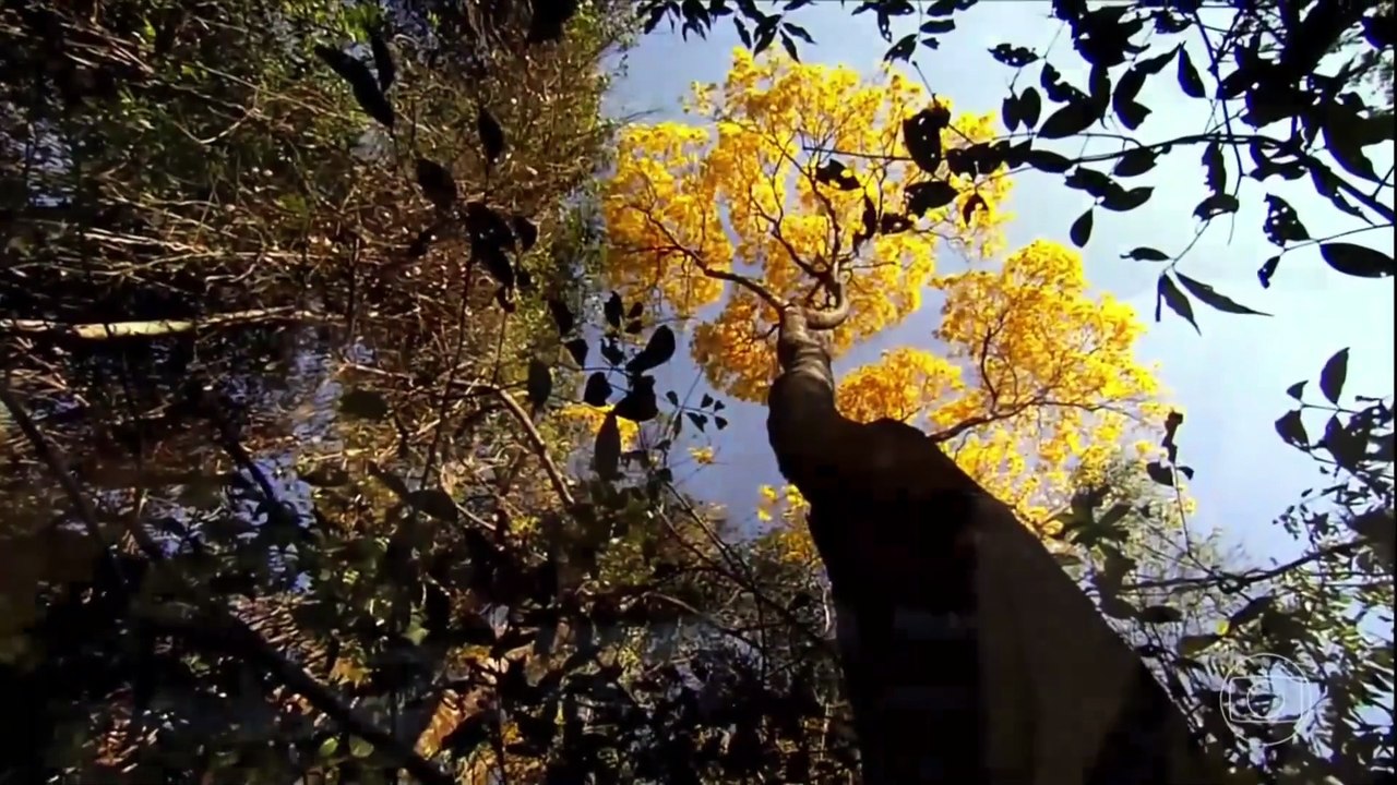 Confira os destaques do Globo Rural de hoje, 22/02/2026