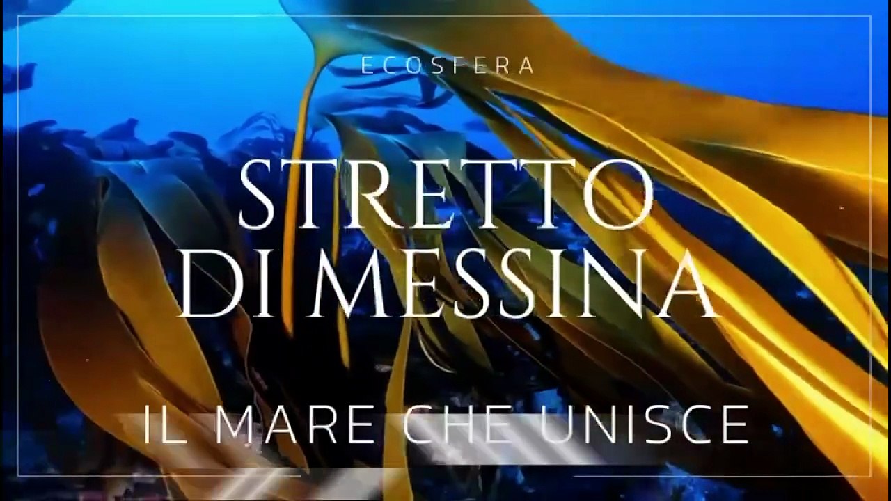 I relitti dello Stretto sbarcano a Bologna