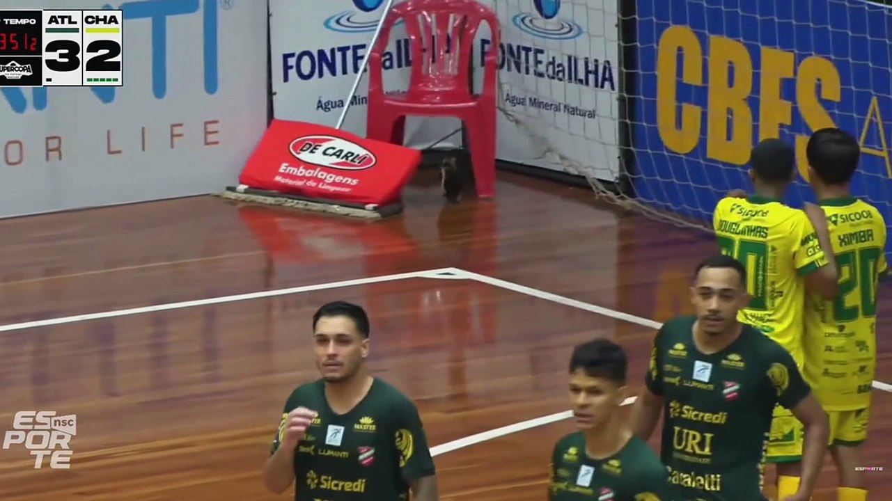 Gambá invade quadra e interrompe jogo da Supercopa Futsal 2026: "Chama o VAR"