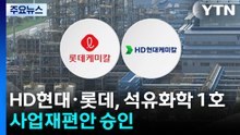 HD현대·롯데, 석유화학 1호 사업재편안 승인...2.1조 맞춤형 지원 / YTN