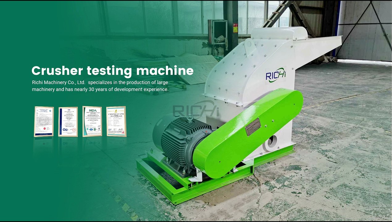 Hammer Mill Test Run | Feed Grinder Machine Trial Before Delivery