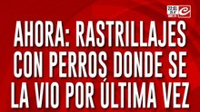 Rastrillajes con perros en búsqueda de Estela
