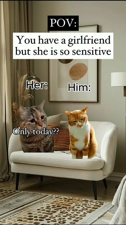 Pov you have a girlfriend but she is so sensitive, your girlfriend boyfriend couple couples cat meme memes
