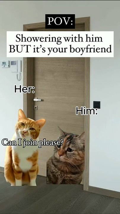 Pov showering with my boyfriend but it's my boyfriend, shower with my boyfriend, farting machine friend cat meme memes