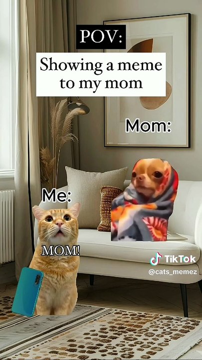 Pov: showing a meme to my mom cat memes family...