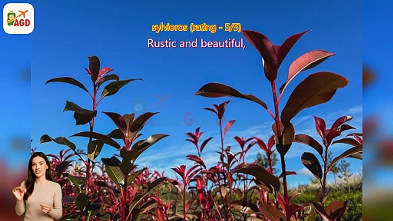 AGD - Review Matria Park Entry Ticket – Botanical Garden Experience