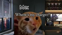 pov when I misplaced something meme cat memes cats memes family fun