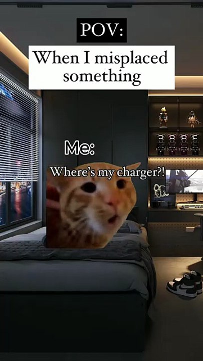 pov when I misplaced something meme cat memes cats memes family fun