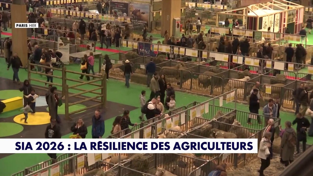 Salon international de l'Agriculture 2026 : la résilience des agriculteurs