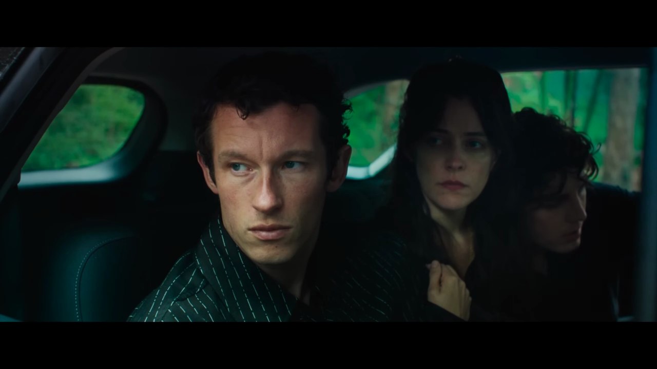 Rosebush Pruning - Clip