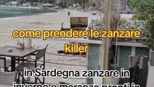 ZANZARE KILLER AL MARE