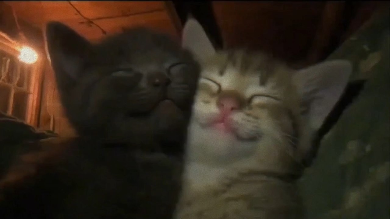 Us