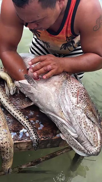 Eating a GIANT 10kg Fish Liver! | Rare Asian Seafood Feast