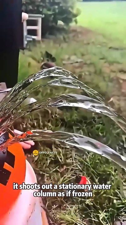 Science Tricks