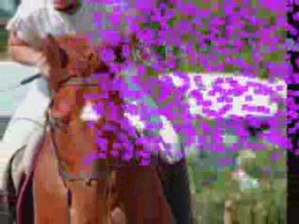 SansTitre3_0002