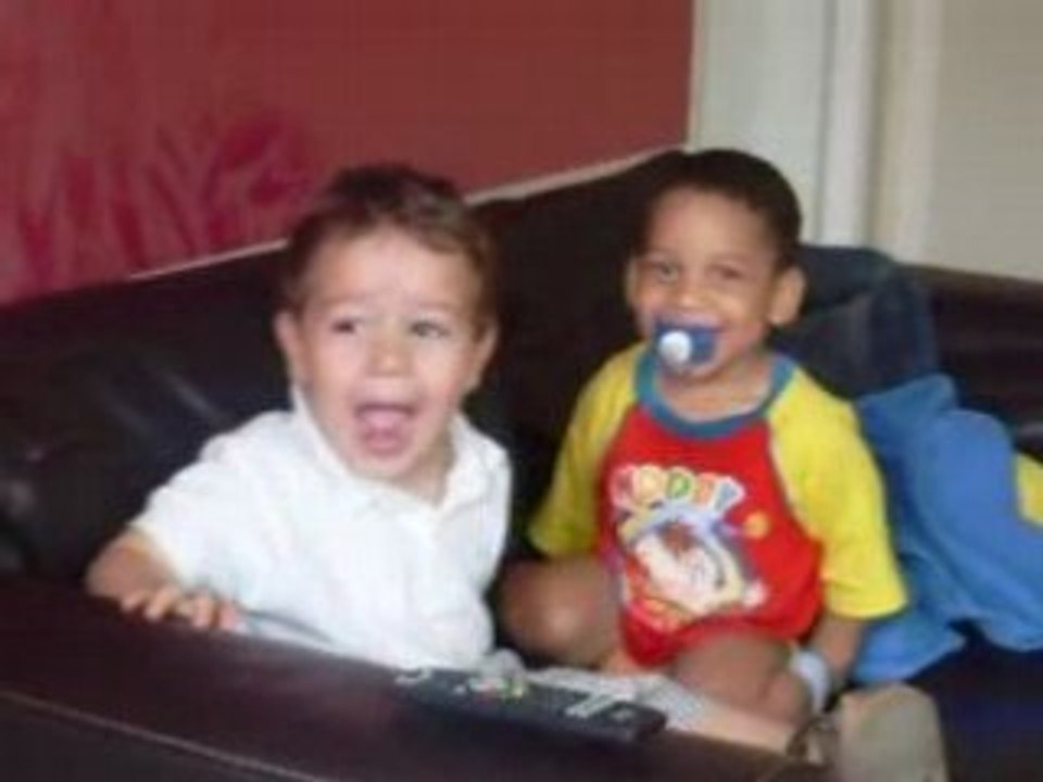 2 fauves