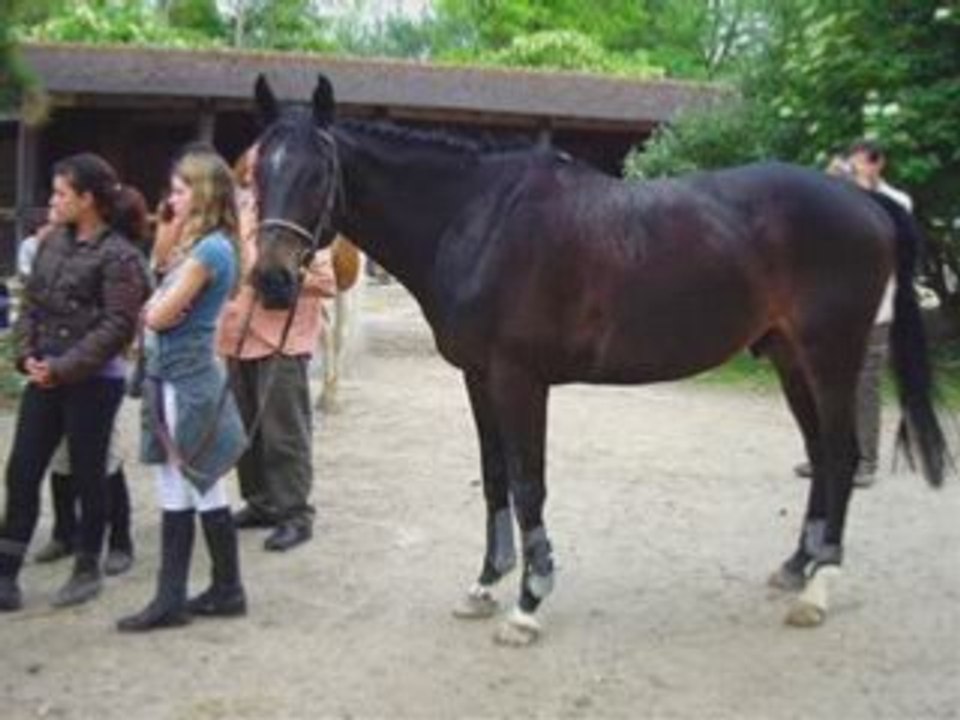 Offen et moi premier concours montage