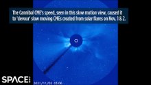Cannibal Coronal Mass Ejection Generated By Strong Solar Flare