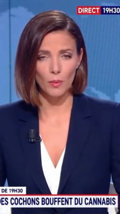 Ses cochons ont tout mangé… et lui, il a tout perdu 🐷😭