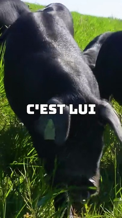 Va me mater ça, tout de suite Lien en bio La bise