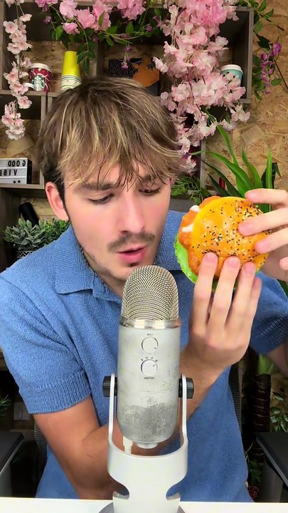 ASMR Vrais ou Faux ? McDonald's Nuggets et Maxi Burger sont des Fakes !