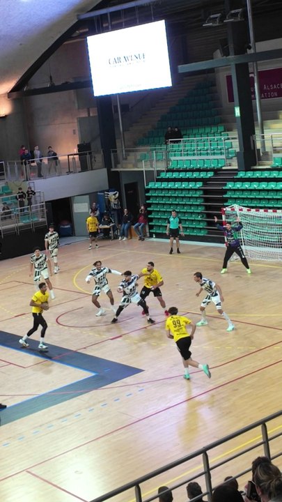 AS Folschwiller N1