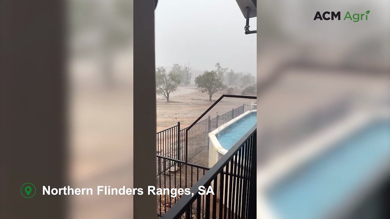 Drought-breaking rain for station on the cusp of shearing