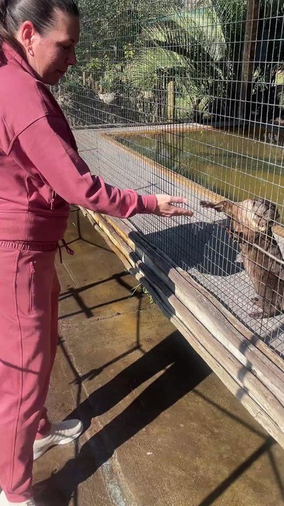 Otter Feeding 2023 12 27 11 13 35