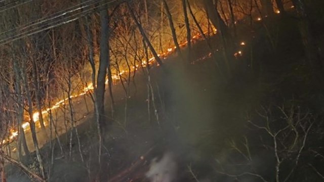 경북 청송 야산에 불...30여 분 만에 꺼져 / YTN