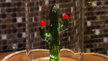 🌵 | The Porfidio Cactus Bottle