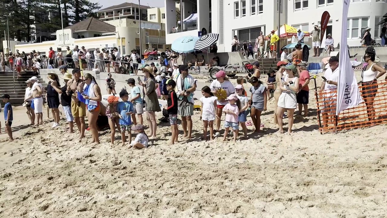 2026 Shark Island Swim, Cronulla