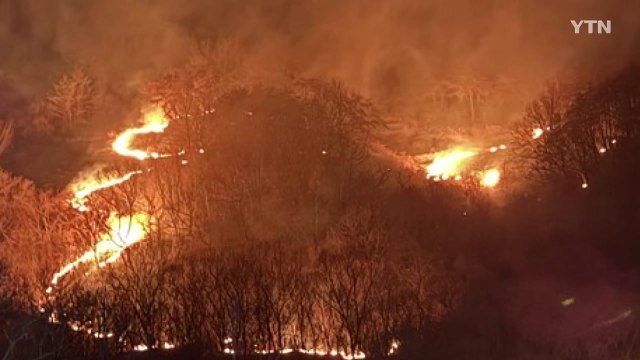 경북 영덕 산불...3시간 반 만에 진화 / YTN
