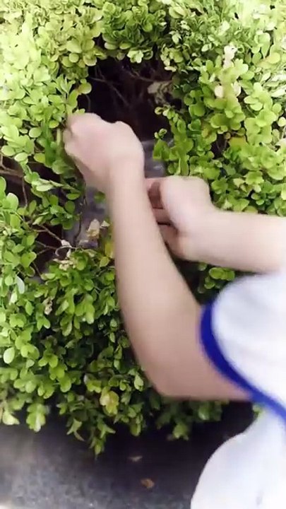 (Deutsch synchronisiert) Zehn Jahre heimliche Liebe, eine Rettung vor dem Tod – zu spät