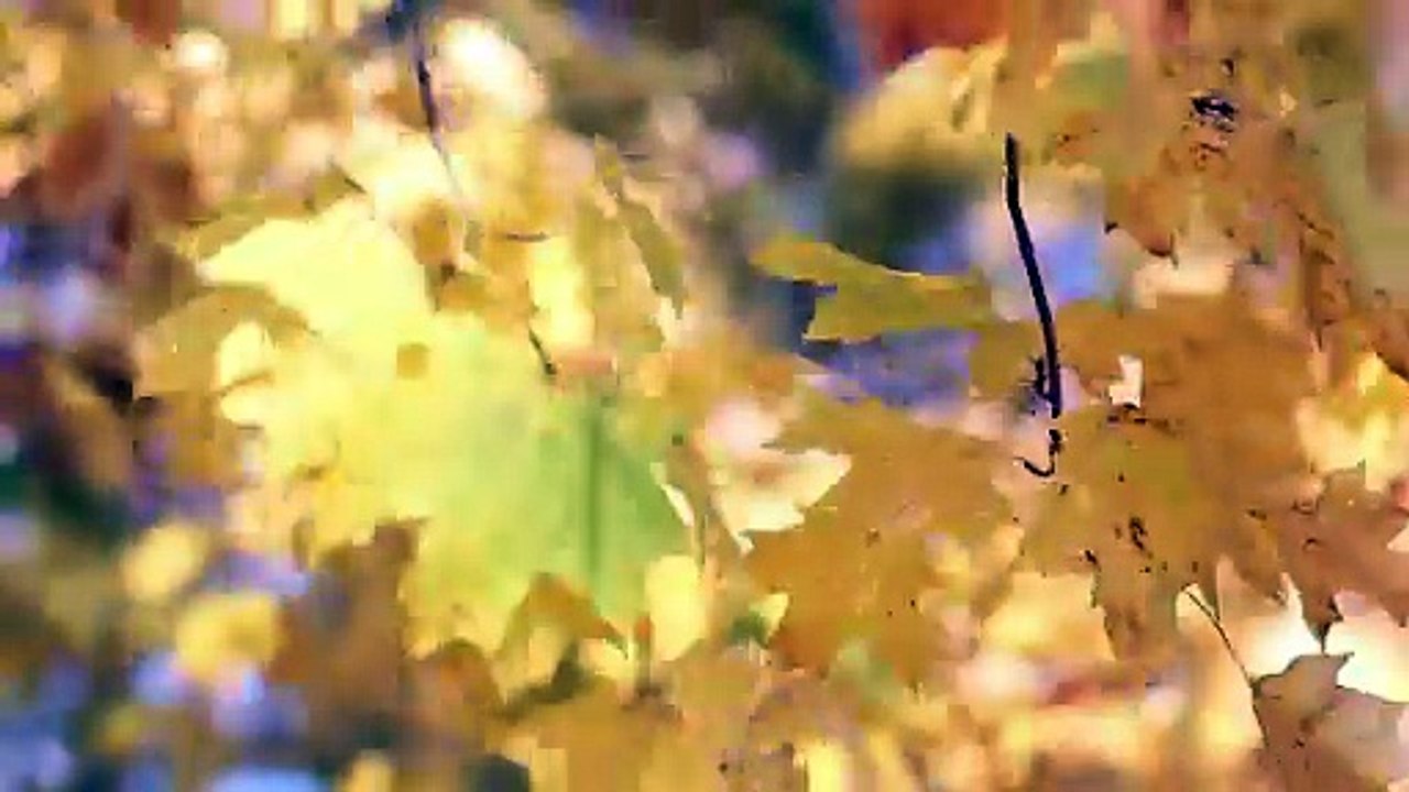 How your #beliefs impact your #health and #future Malayalam