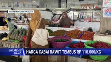 Naik! Harga Cabai Rawit di Banjarbaru Tembus Rp110.000 per Kg | KOMPAS SIANG