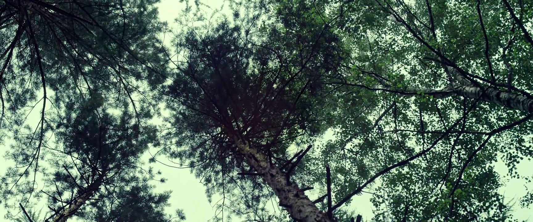 David | movie | 2011 | Official Trailer