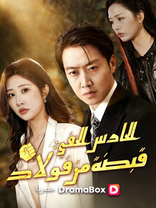 الحارس الخفي: قبضة من فولاذ (مدبلج)