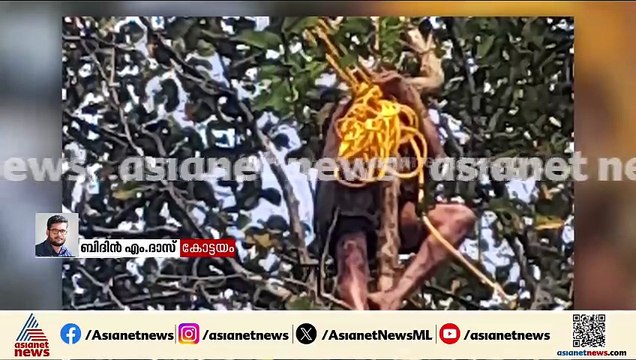 കോട്ടയത്ത് മരം മുറിക്കുന്നതിന് എതിരെ പ്രതിഷേധം; ജീവനൊടുക്കുമെന്ന് ഭീഷണി മുഴക്കി ചെറുവള്ളി സ്വദേശി