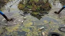 Fixing the abandoned house middle pond