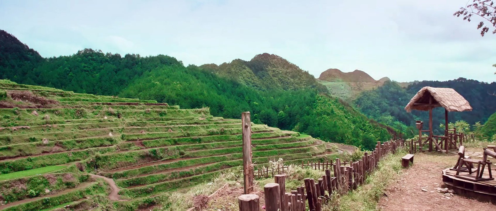 Tầm Tần Ký: Trở Về Quá Khứ Full Vietsub - Back to the Past Engsub (2025) - Tầm Tần Ký Bản Điện Ảnh - Phim Hồng Kông Chiếu Rạp | Phim Hay