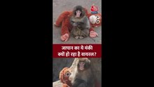 जापान का ये नन्हा बंदर क्यों हो रहा वायरल? जानें
