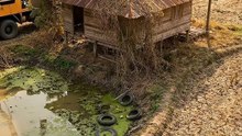 Renovation abandoned farm house
