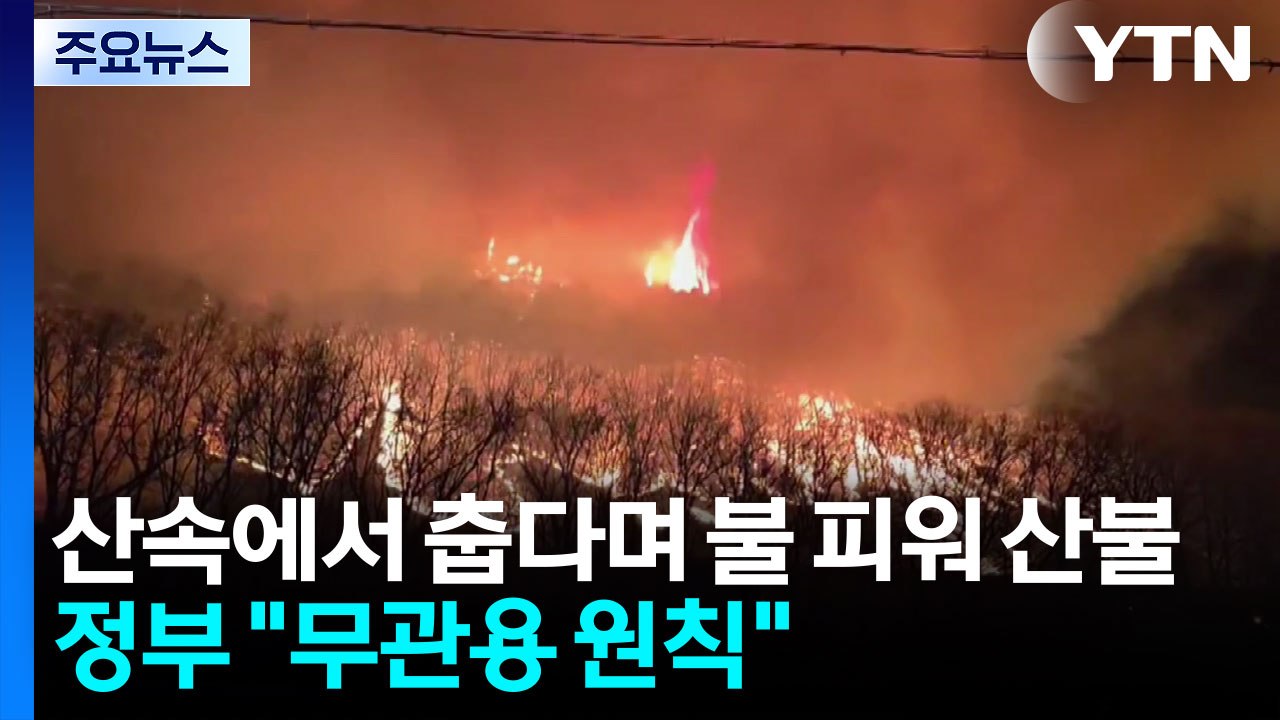 산속에서 춥다며 불 피워 산불로...정부 "무관용 원칙" / YTN