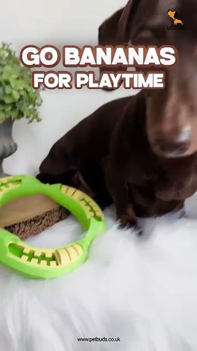 Indestructible Toy  Banana Shaped Chew Toy for Dogs