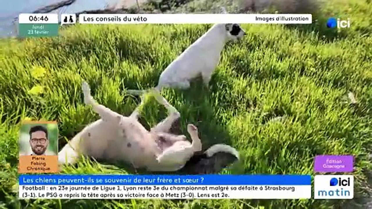23/02/2026 - ici matin par ici Gascogne en vidéo