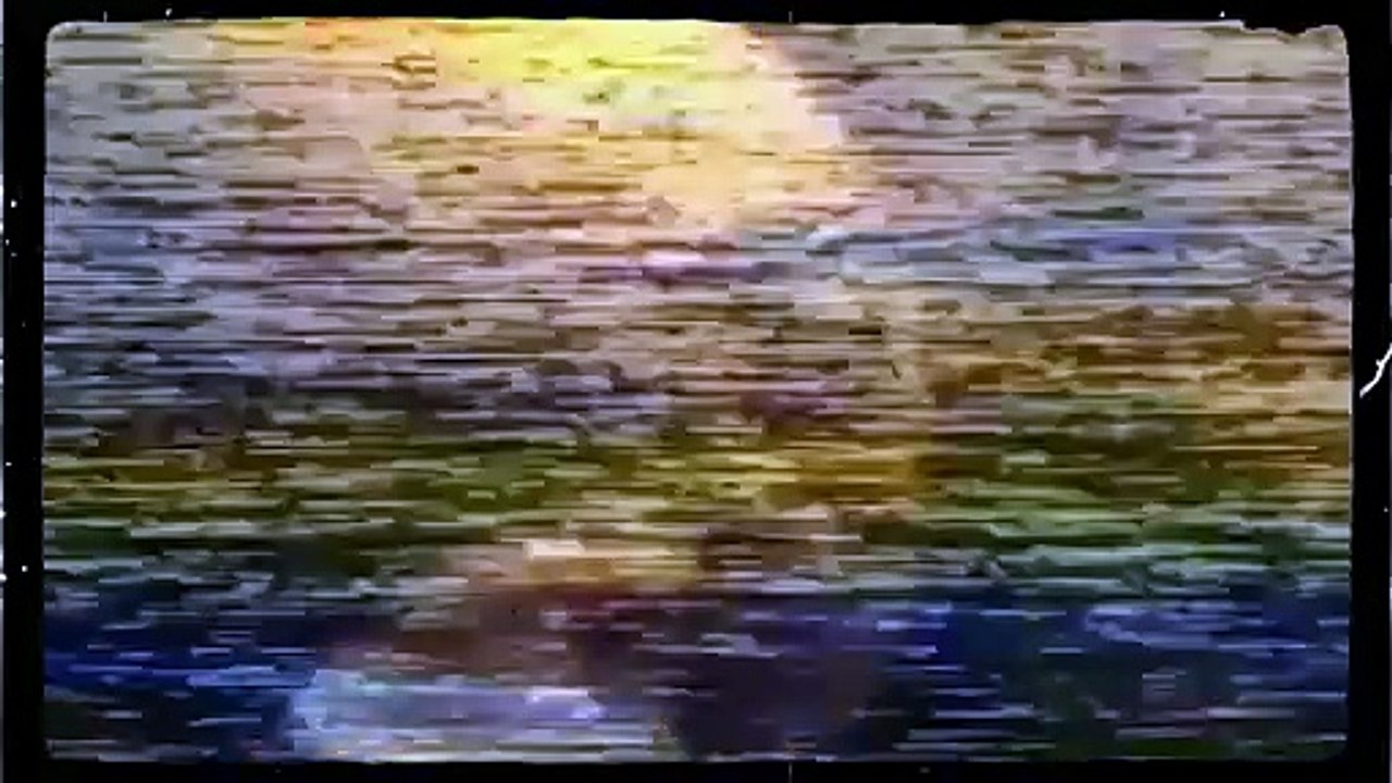 kakvu Bosnu i Hercegovinu je Alija htio gdje su tu Srbi i Hrvati?
