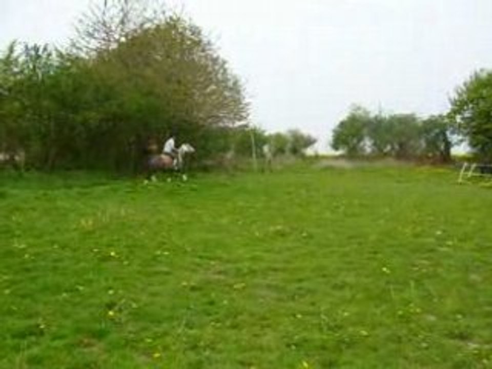Photo 1331335