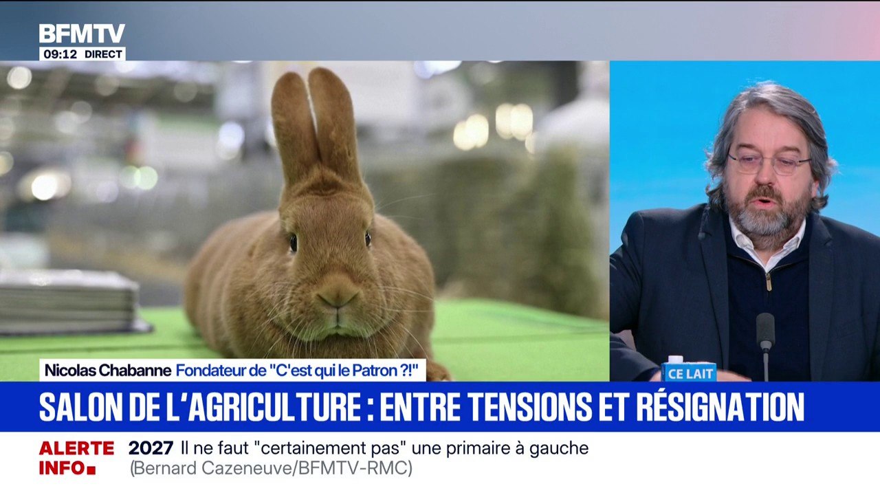 Agriculture: "C'est l'heure de la prise de pouvoir du consommateur final, qui peut faire beaucoup plus que les lois", pour Nicolas Chabanne, fondateur de "C'est qui le Patron?!"