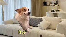 When your girlfriend is a bit domineering and bossy